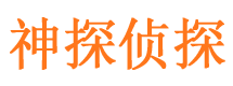 纳溪调查事务所